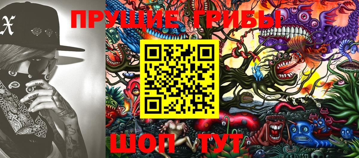 Галлюциногенные грибы Psilocybe  Псилоцибиновые грибы мицелий  Вход с VPN  Хабаровск 